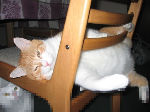 开云APP-太阳队伍齐心协力,南下逐鹿成功