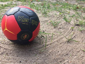 开云体育官方下载-国足比赛比赛状态分析,国足的比赛情况